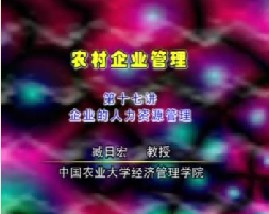 农村企业管理（十七）