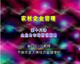 农村企业管理（十八）