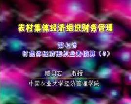 农村集体经济组织财务管理（七）