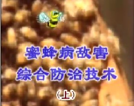 蜜蜂病敌害综合防治技术（上）
