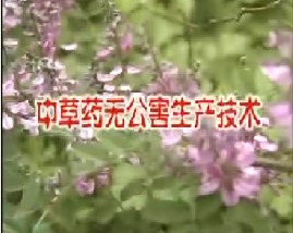 中草药无公害生产技术