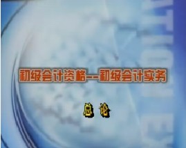 初级会计资格-初级会计实务-第一章总论