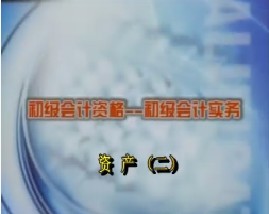 初级会计资格-初级会计实务-第三章资产（二）