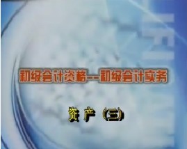 初级会计资格-初级会计实务-第三章资产（三）