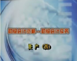 初级会计资格-初级会计实务-第三章资产（四）