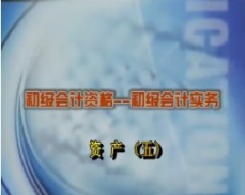初级会计资格-初级会计实务-第三章资产（五）