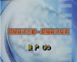 初级会计资格-初级会计实务-第三章资产（六）