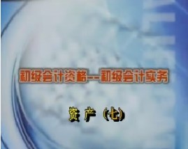 初级会计资格-初级会计实务-第三章资产（七）