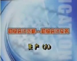 初级会计资格-初级会计实务-第三章资产（八）