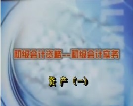 初级会计资格-初级会计实务-第三章资产（一）