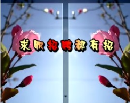 求职招聘都有招