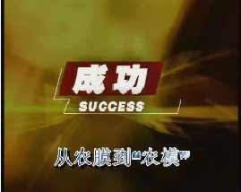 从农膜到“农模”