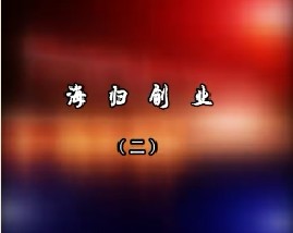 海归创业（二）