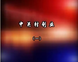 中关村创业（一）