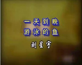 一天到晚游泳的鱼