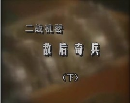 二战机密-敌后奇兵（下）