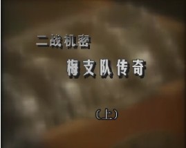 二战机密-梅支队传奇（上）