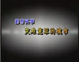 都市科学—灾难笼罩的城市