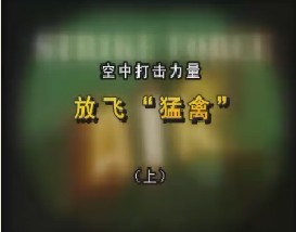 空中打击力量—放飞“猛禽”（上）