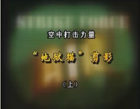 空中打击力量—“地狱猫”剪影（上）