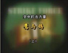 空中打击力量—鹰与鸽（上）