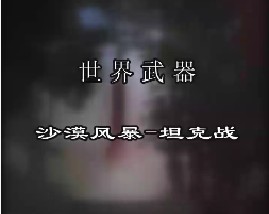 世界武器-沙漠风暴-坦克战