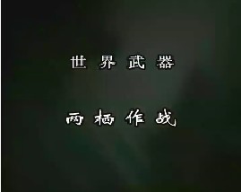 世界武器-两栖作战