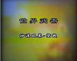 世界武器-沙漠风暴-空战