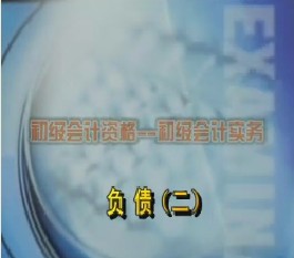 初级会计资格-初级会计实务-第四章负债（二）