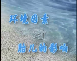 环境因素对胎儿的影响