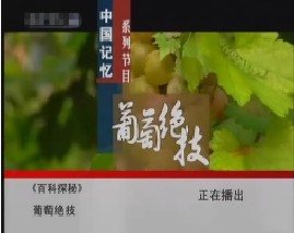 中国记忆之葡萄绝技