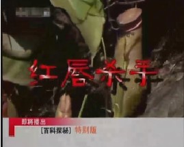 百科探秘-红唇杀手 