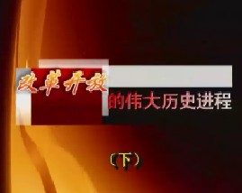 改革开放的伟大历史进程（下）