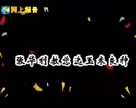 张华利教您选玉米良种