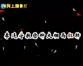 李连寿教您种大棚西红柿