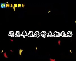 冯其华教您种大棚毛茄