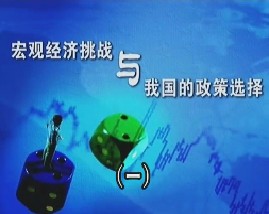 宏观经济挑战与我国的政策选择（一）