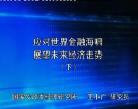 应对世界金融海啸展望未来中国经济走势（下）