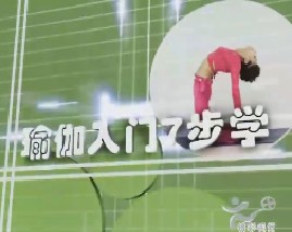 瑜伽入门7步学