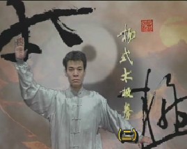 杨式太极拳套路（二） 