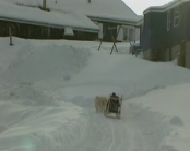 聚焦欧洲：第十二集