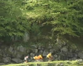 聚焦欧洲：第二十九集 