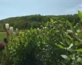 聚焦欧洲：第二十集 