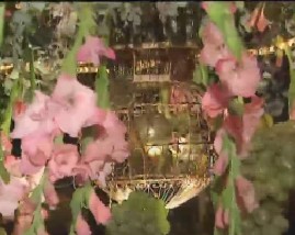 聚焦欧洲：第六十三集 