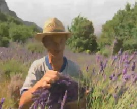 聚焦欧洲：第三十七集