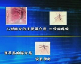 自然疫源性疾病的防控