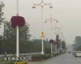 把花种在灯杆上和藏獒养殖