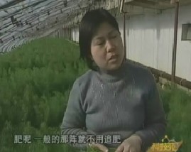 如何种好洋蔬菜和蔬菜脱水变容颜