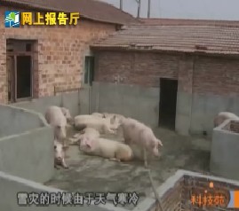 灾后防疫知识问答1-10