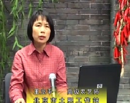 测土配方施肥技术之小麦施肥技术